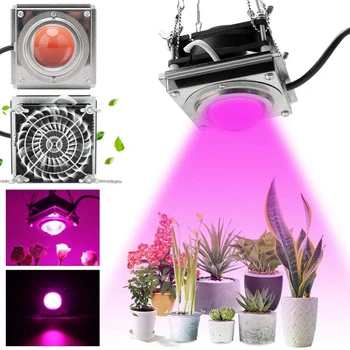 COB Светодиодный Светильник для Выращивания Комнатной Фитолампы Для растений 1000 Вт Полный Спектр Светодиодный Светильник Для Выращивания Палатки Коробчатые Лампы Для Домашних Растений Цветы